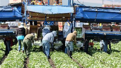 Legislators and Ag Overtime
