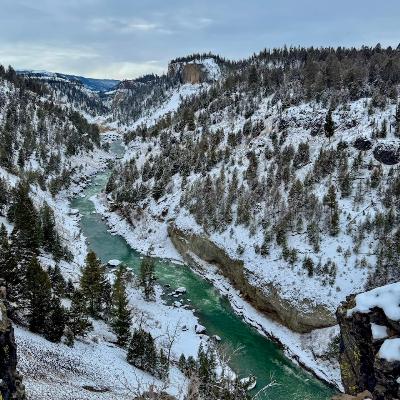 This Week in Yellowstone: January 15th to January 21st, 2026
