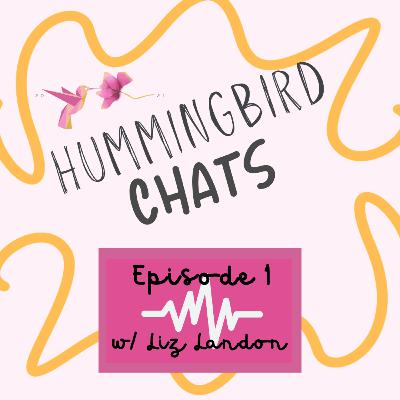 All Is Well with Liz Landon - Episode 1