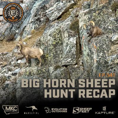 Guiding for Big Horn Sheep | Hunt Recap | Ep. 43 | Born Primitive Outdoor Podcast with Aron Snyder