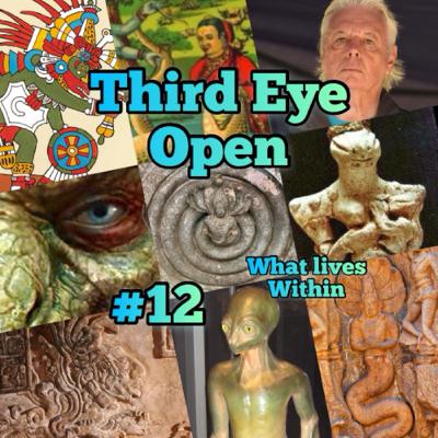 Third Eye Open #12 what lives within
