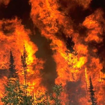 Embracing Fire & Winds of Change