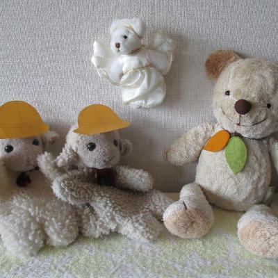 年間第14主日　2023年7月9日　父への賛美