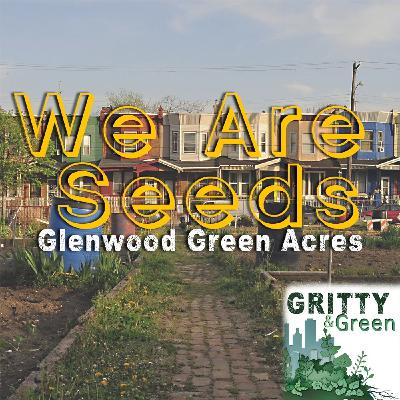 Gritty & Green: We Are Seeds Glenwood Green Acres