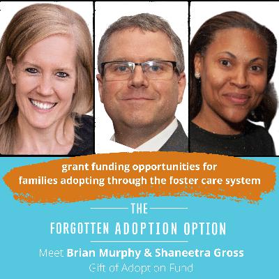 grant funding opportunities for families adopting through the foster care system