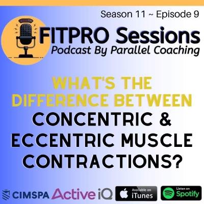 [S11:E9] What's The Difference Between Concentric and Eccentric Contractions