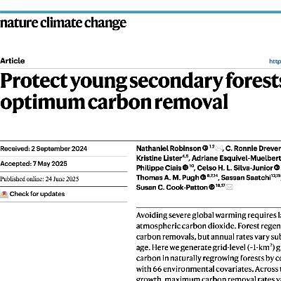 Protect young secondary forests for optimum carbon removal Protect young secondary forests for optimum carbon removal