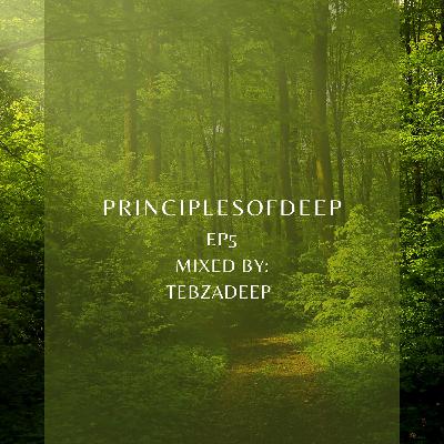 Principles of deep Ep5 Principles of deep Ep5