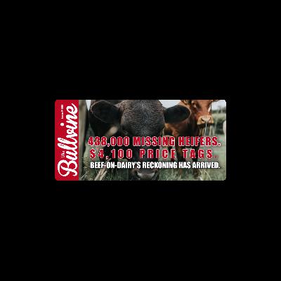 E459 438,000 Missing Heifers. $4,100 Price Tags. Beef-on-Dairy’s Reckoning Has Arrived. E459 438,000 Missing Heifers. $4,100 Price Tags. Beef-on-Dairy’s Reckoning Has Arrived.