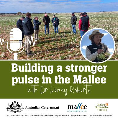 Building a stronger pulse in the Mallee Building a stronger pulse in the Mallee
