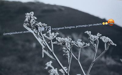 E73 - MSTRL - BOURGEONS BOUGONS - AVRIL2025 E73 - MSTRL - BOURGEONS BOUGONS - AVRIL2025