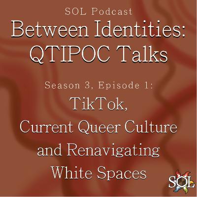 TikTok, Current Queer Culture, and Renavigating White Spaces