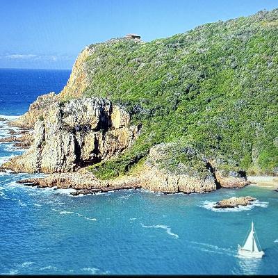 AÑO NUEVO, HOJA NUEVA (E2007). AÑO NUEVO, HOJA NUEVA (E2007).