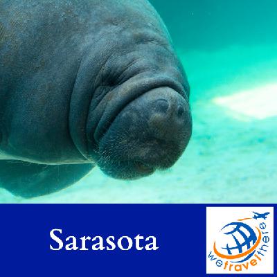 Sarasota, FL | Ringling Circus Museum, Marie Selby Gardens & Manatees