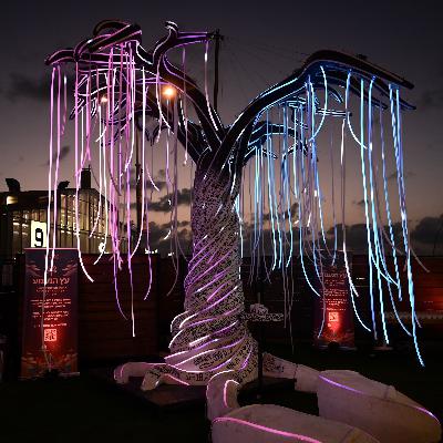 The “The Big Picture” Edition The “The Big Picture” Edition