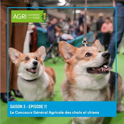 Le Concours Général Agricole des chats et chiens