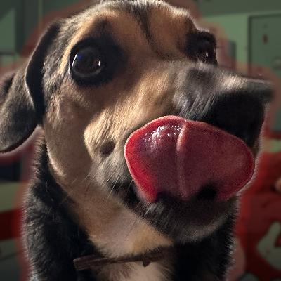 S4 Ep1: Czy nasz pies zje nas po śmierci?