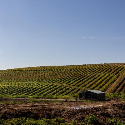 Mundo rural - Asignación de derechos de la reserva nacional en 2025