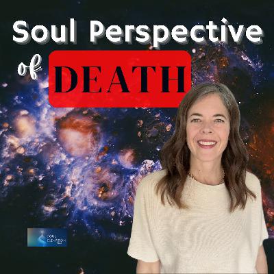 540. A Deeper Understanding of the Soul's Journey | Don't Fear This 540. A Deeper Understanding of the Soul's Journey | Don't Fear This