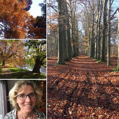 #5 Logopediste Frieda Debets over haar rol bij diagnose en begeleiding #5 Logopediste Frieda Debets over haar rol bij diagnose en begeleiding