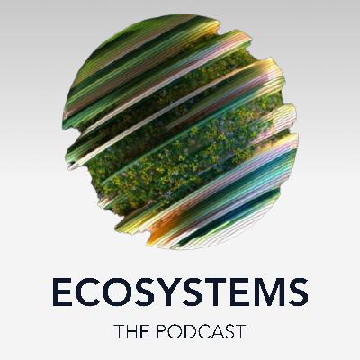 E2: Amy Congdon - Driving biofabrication and biomaterial innovation