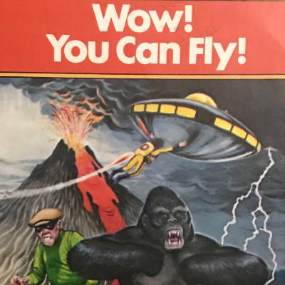 CCYOAA 16 - Wow! You Can Fly! CCYOAA 16 - Wow! You Can Fly!