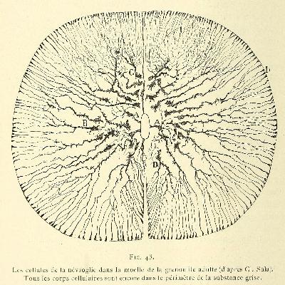 Is an Enlightened Person Afraid of Illness and Death?
