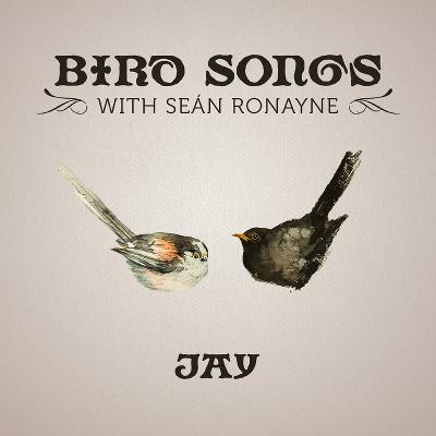 Jay | Bird Songs with Seán Ronayne Jay | Bird Songs with Seán Ronayne