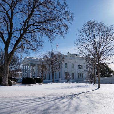 Cottage cheese, possum, aspic: How to eat like a president