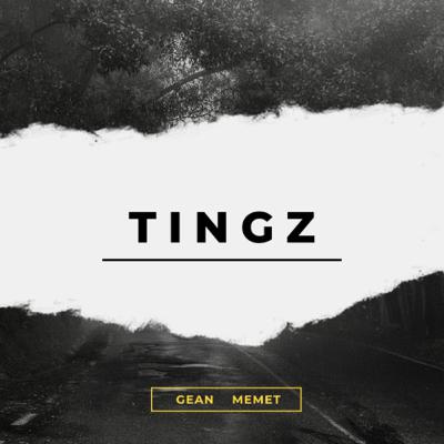 TINGZ PILOT.