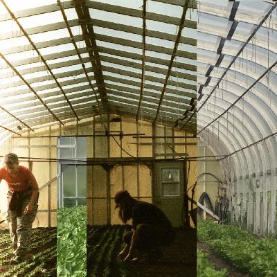 Genesis: Big Promises and Small Steps