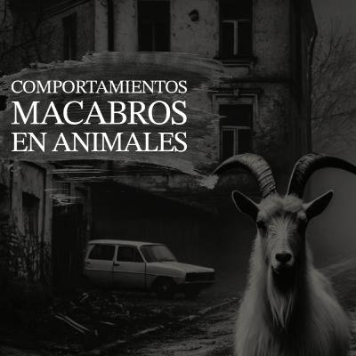 La cabra que tocaba mi puerta, gatos platicando y serpientes gigantes. Historias paranormales