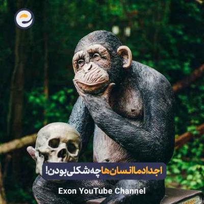 قدیمی ترین اجداد انسان | انسان های اولیه واقعا چه شکلی بودند؟!