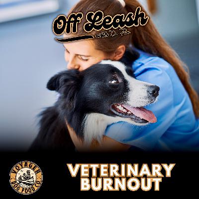 Veterinary Burnout