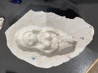 Anna Daniells utstilling av "Aksjonistene"