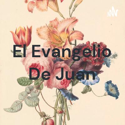 El evangelio de juan
