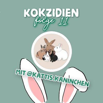 KOKZIDIEN bei Kaninchen 🐰🦠 - mit @kattis.kaninchen // S3 Folge 11 // Lauscher auf! KOKZIDIEN bei Kaninchen 🐰🦠 - mit @kattis.kaninchen // S3 Folge 11 // Lauscher auf!