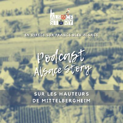 Sur les hauteurs de Mittelbergheim