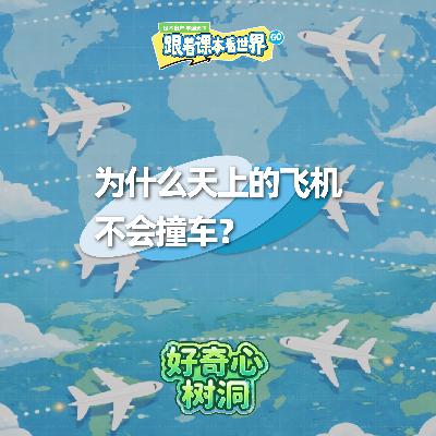 为什么天上的飞机不会撞车？- 2026/02 第二周