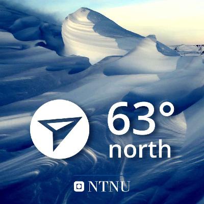 New clues from old bones: Norwegian Vikings were very, very violent