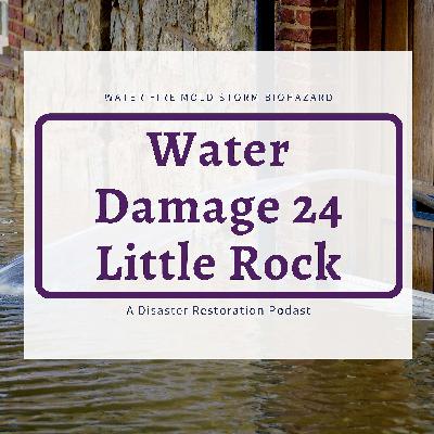 The Flood Cleanup and Indoor Air Quality The Flood Cleanup and Indoor Air Quality