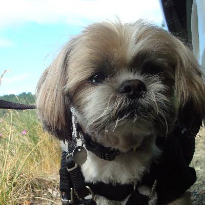 PaR 6: If you meet Baba Yaga in the parking garage run her over PaR 6: If you meet Baba Yaga in the parking garage run her over