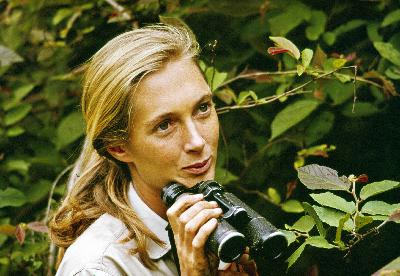 Surprises from Jane Goodall's archive Surprises from Jane Goodall's archive