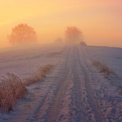 Adventkalender #18 Thomas Hessler