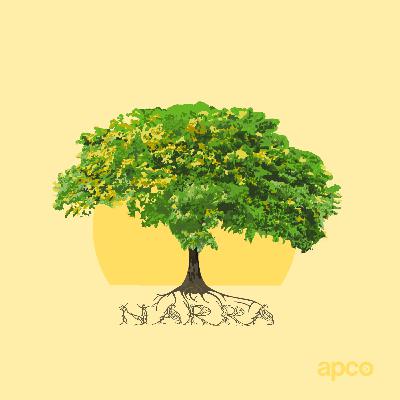 Narra: Ang Binhi