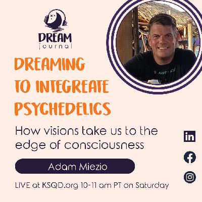 Dreaming Helps Integrate Psychedelic Experience with Adam Miezio