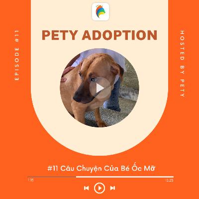 Pety Adoption #11: Câu Chuyện Của Bé Ốc Mỡ