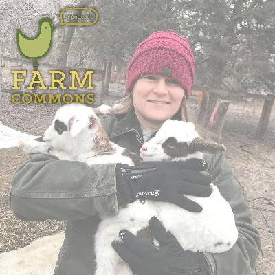 Episode 59: Creating a Cooperative with Farmer Katie Nixon