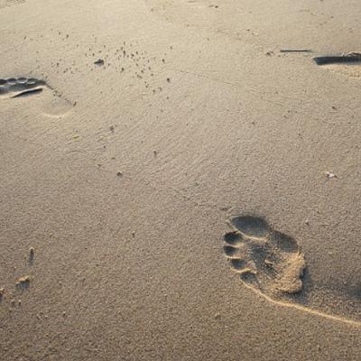 Footsteps of Our Fathers - Pull Up a Chair Footsteps of Our Fathers - Pull Up a Chair