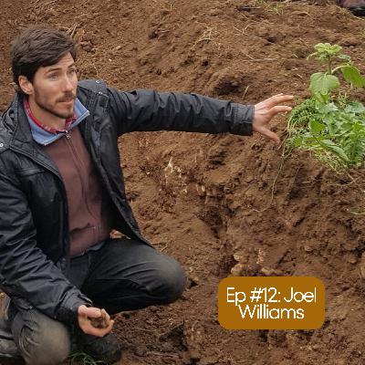 The Soil-Nutrition Connection with Joel Williams